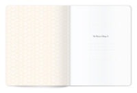 Metallic Burst Sky Tones Peach Large Planner - Image 2
