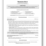 credit analyst resume template southworth