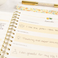 Lemon Large Twin-Wire Planner - Image 7