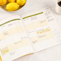 Ditsy Fruit Large Flex Planner - Image 6