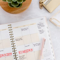 Rustic Pink Bloom Large Twin-Wire Planner - Image 8